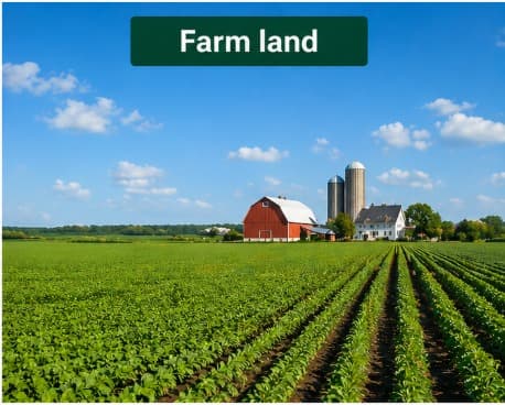 Farm Land