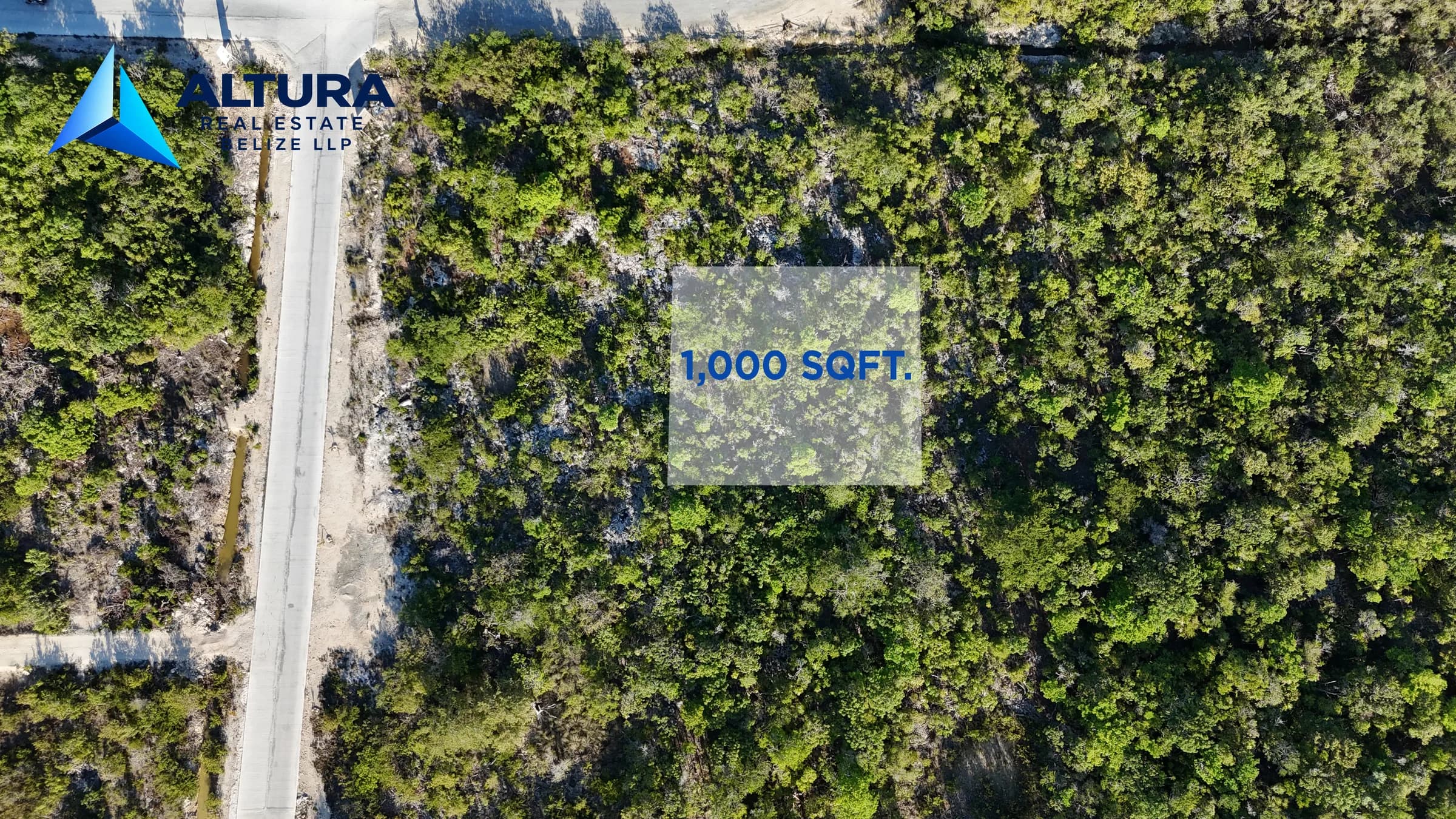 🌴 Prime 100' × 100' Lot Near Secret Beach, Ambergris Caye – Just 2nd Lot from Main Road! 🇧🇿 - Photo 6